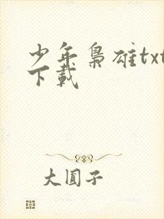少年枭雄txt下载