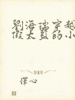 刘海瑞穿越后宫假太监的小说