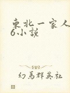 东北一家人1一6小说