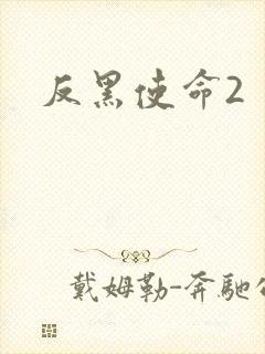 反黑使命2