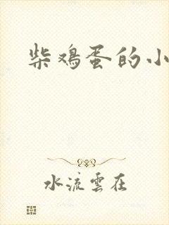 柴鸡蛋的小说