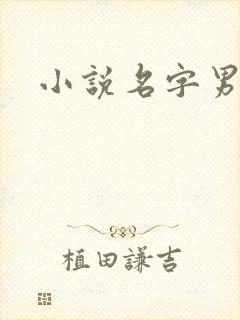 小说名字男生