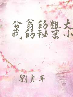 公翁的粗大放进我的秘密小说