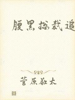 腹黑总裁追娇妻