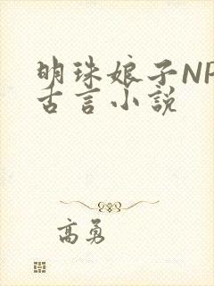 明珠娘子NPC古言小说
