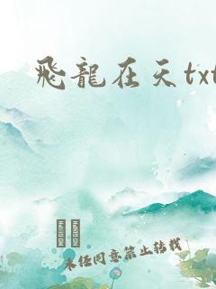 飞龙在天txt