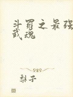 斗罗之最强治疗武魂