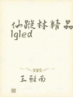 仙踪林精品zzlgled