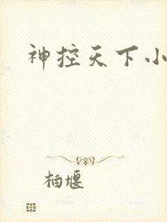 神控天下小说