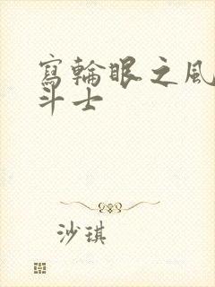 写轮眼之风流圣斗士