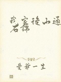 我家后山通仙界石锦