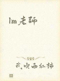 lm老师