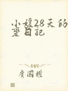 小媛28天的剧变日记