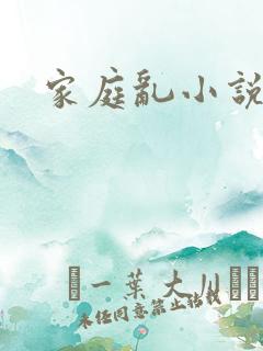 家庭乱小说