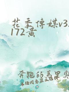 花季传媒v3.172黄