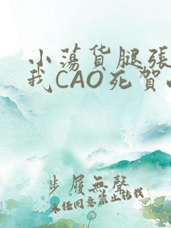 小荡货腿张开让我CAO死贺峻霖