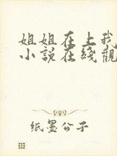 姐姐在上我在下小说在线观看