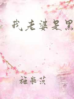 我老婆是黑社会