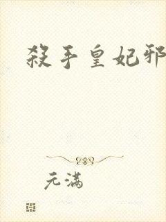 杀手皇妃邪魅帝