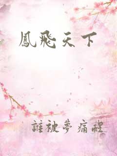 凤飞天下