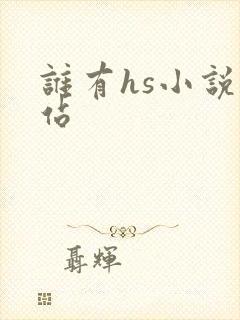 谁有hs小说网站