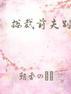 总裁前夫别耍酷