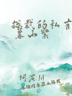 总裁的私有宝贝 暮山紫