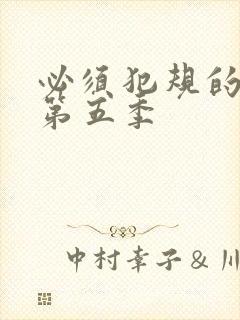 必须犯规的游戏第五季