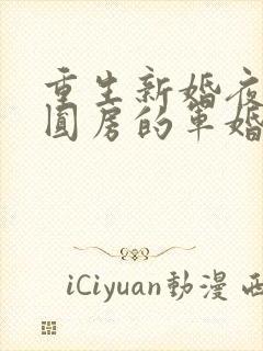 重生新婚夜正在圆房的军婚小说