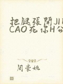 把腿张开JI巴CAO死你H公园