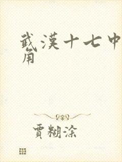 武汉十七中女主角