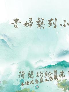 贵妇系列小多美