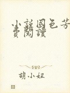 小说国色芳华免费阅读