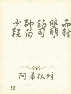 少帅的双面宠妻段茵司明封免费