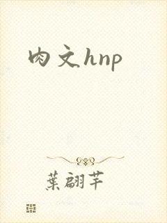 肉文hnp