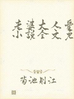 老婆大人爱上我小说全文免费阅读