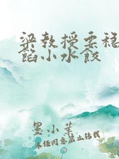 梁教授要稳住肉馅小水饺