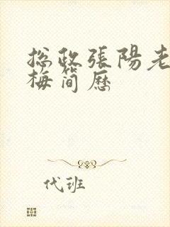 总政张阳老婆吕梅简历