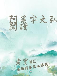 阿宁宇文弘免费阅读