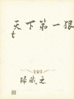 天下第一狠txt
