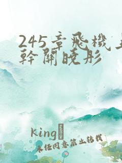 245章飞机上干关晓彤