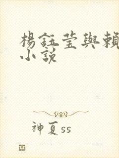 杨钰莹与赖昌星小说