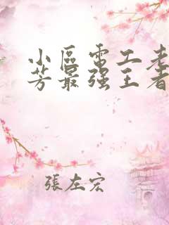 小区电工老周刘芳最强王者