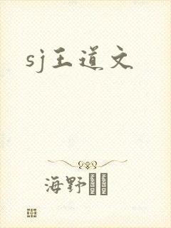 sj王道文