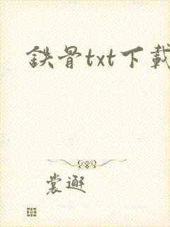 铁骨txt下载
