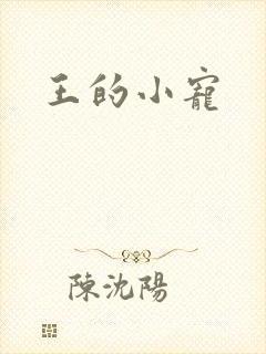 王的小宠