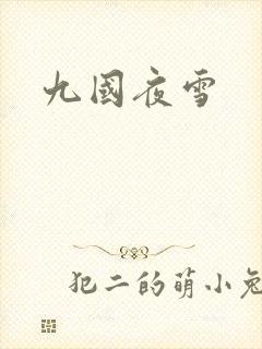 九国夜雪