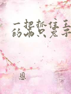 一把抓住王昭君的两只兔子