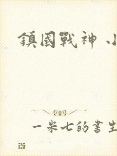 镇国战神 小说