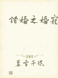 错婚之婚宠一世